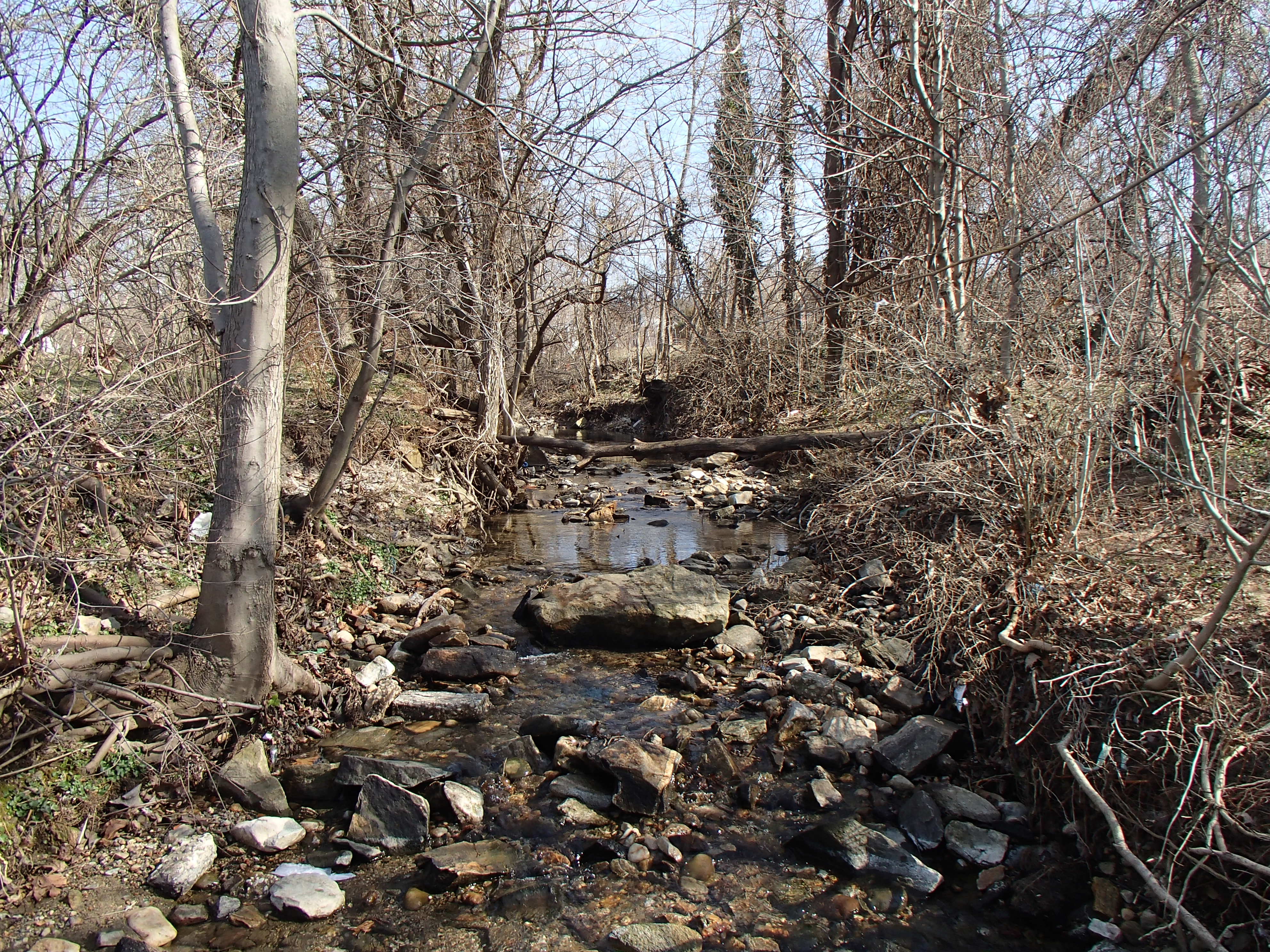 Field photo showing stream conditions at site BACK-101-R-2016_midpoint upstream